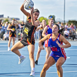 gnlnetball 2902834