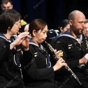 navyband 2914124