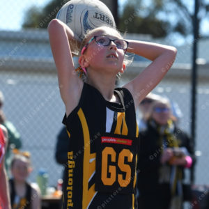 netballgf 2913904