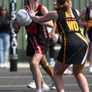 netballgf 2913912