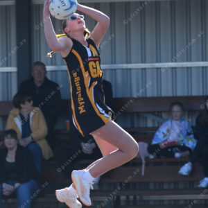 netballgf 2913915