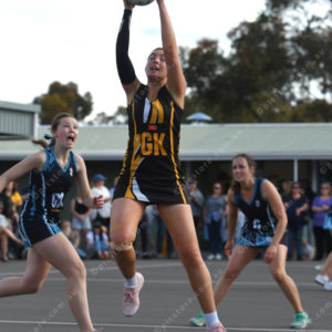 netballgf 2913924