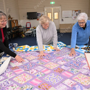 quilts 2922008