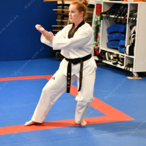 taekw 2922886