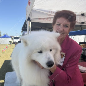 BTdogshow 2929981