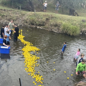 BTduckrace 2948107