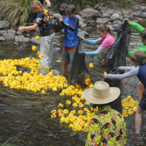 BTduckrace 2948113