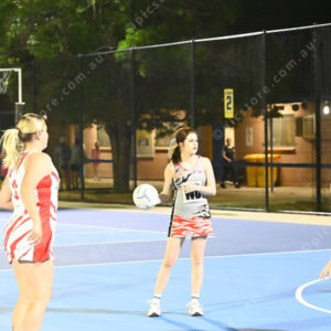 Netball 2946111