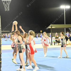 Netball 2946114