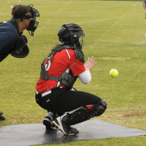 PLsoftball 2949478