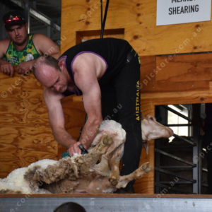 ShearNats2 2950105