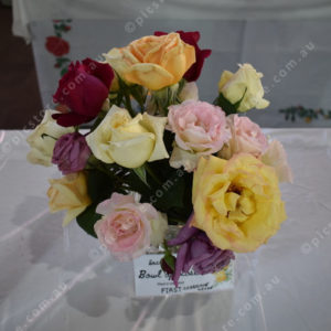 rosefest 2934615