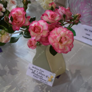 rosefest 2934616