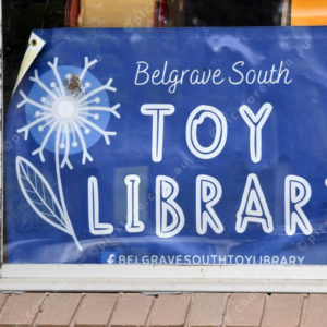 toylibrary 2934118