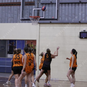 Basketball 2954008