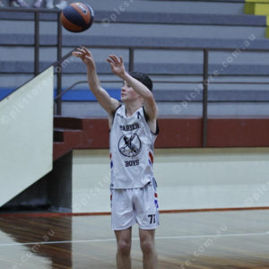 Basketball 2954132