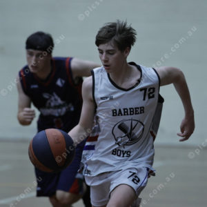 Basketball 2954134