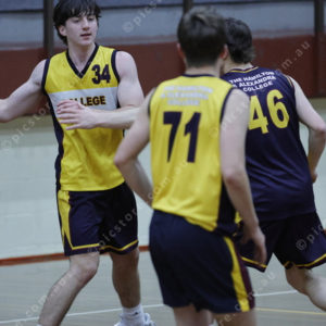 Basketball 2954154