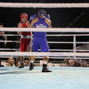 Boxing 2963689