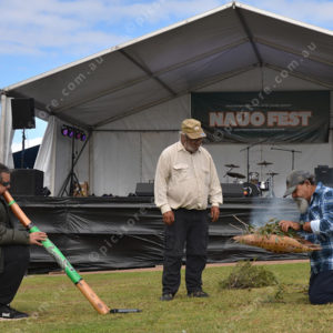 NauoFest 2971025