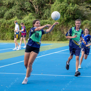 Netball 2957322