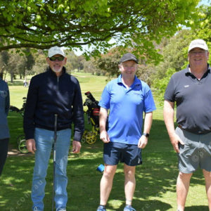 golfday 2971753
