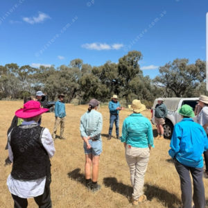 landcare 2982034