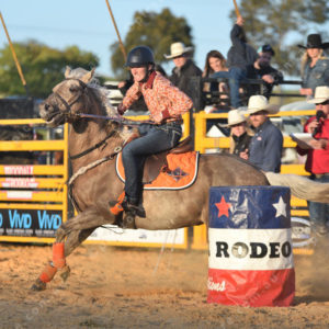 rodeo 2973110