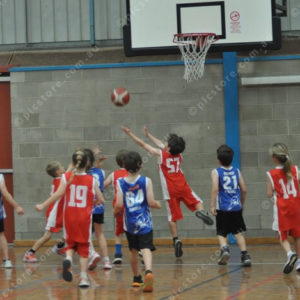 Bball 2991008