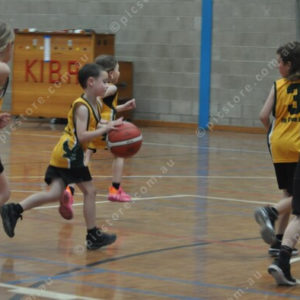 Bball 2991009