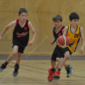 Bball 3005266