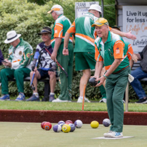 CranBowls 3005116