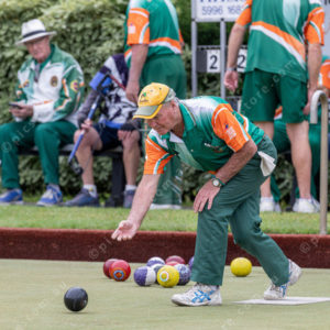 CranBowls 3005118