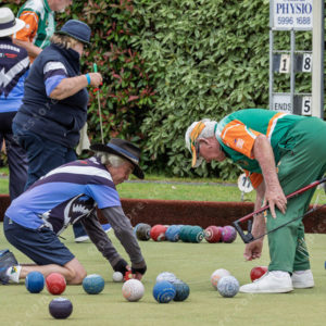CranBowls 3005132