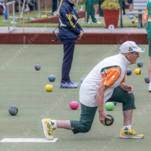 CranBowls 3005151
