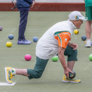 CranBowls 3005152