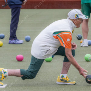 CranBowls 3005153