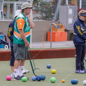 CranBowls 3005154