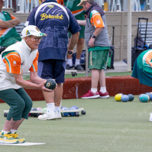CranBowls 3005157