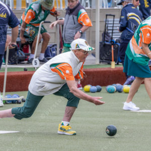 CranBowls 3005158