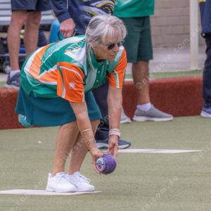 CranBowls 3005161