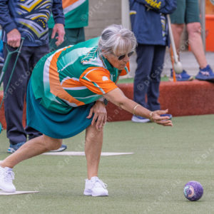 CranBowls 3005163
