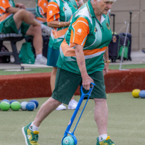 CranBowls 3005165