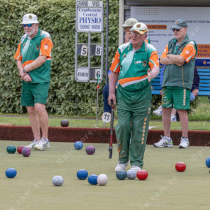 CranBowls 3005188