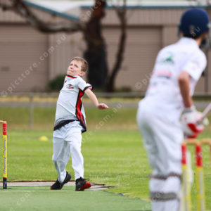 Cricket 2983709
