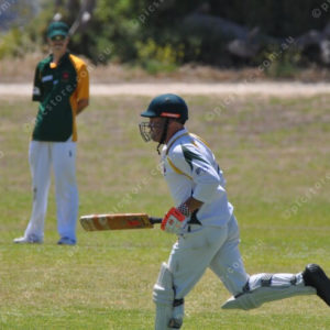 Cricket 2999234