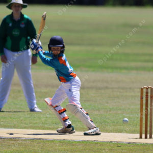 JrCricket 2990229