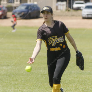 PLsoftball 2986080