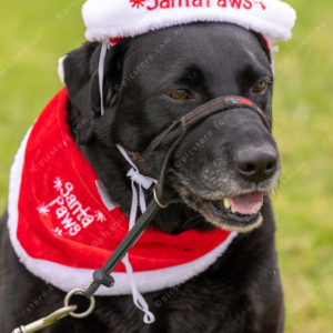 Santarun 3005521