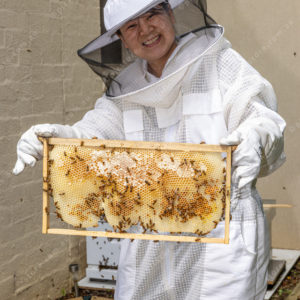beekeeper 2983601